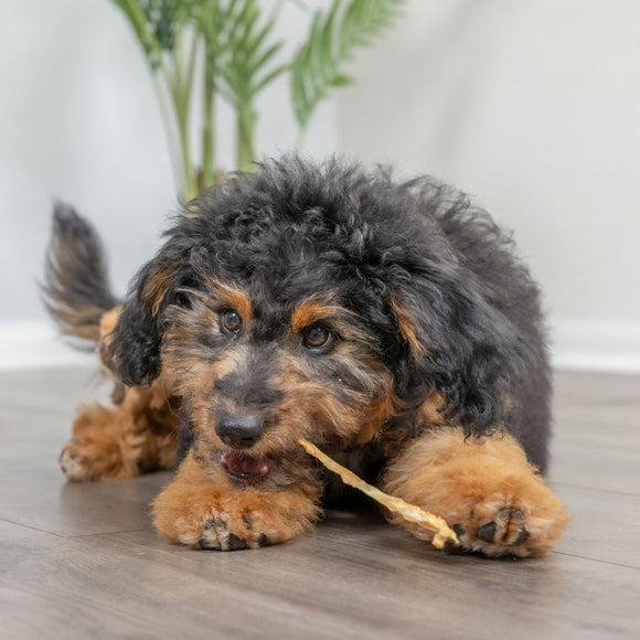 Natural Cravings USA Turkey Tendons Chew for Dogs & Cats