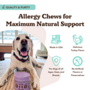 Natural Dog Company Allergy & Itch Defense for Dogs (90 soft chews) - Dog Immune & Allergy Supplements 4