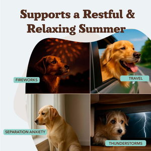 Natural Dog Company Calming Soft Chews for Dogs (90 Chews) - Dog Calming & Anxiety Supplements 2