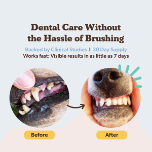 Natural Dog Company Dental Powder for Dogs (2.82 oz) - Dog Dental Care 2