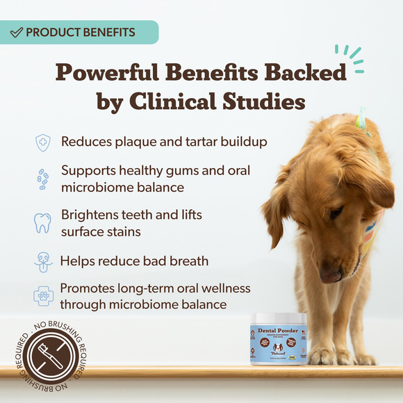Natural Dog Company Dental Powder for Dogs (2.82 oz) - Dog Dental Care 4
