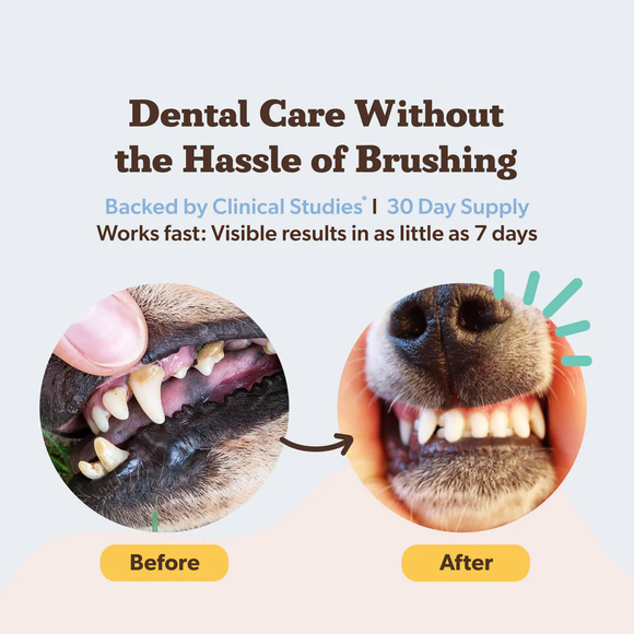 Natural Dog Company Dental Powder for Dogs (2.82 oz) - Dog Dental Care 3