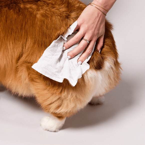 Natural Dog Company Extra Large Grooming Wipes (50 wipes) - Pet Wipes 10