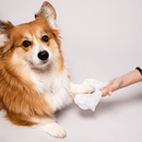 Natural Dog Company Extra Large Grooming Wipes (50 wipes) - Pet Wipes 8