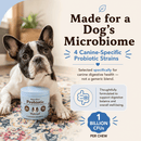Natural Dog Company Gut Health & Digestion Dog Probiotics (45 Soft Chews) - Probiotic Supplement 6