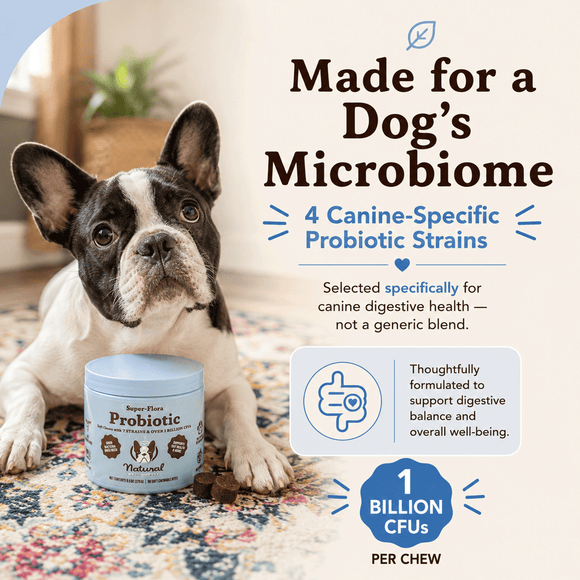 Natural Dog Company Gut Health & Digestion Dog Probiotics (45 Soft Chews) - Probiotic Supplement 6