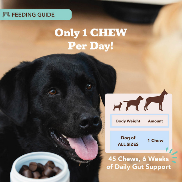 Natural Dog Company Gut Health & Digestion Dog Probiotics (45 Soft Chews) - Probiotic Supplement 8