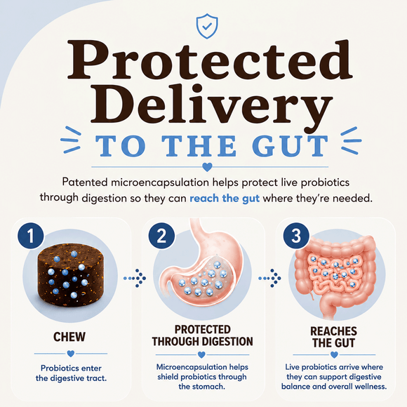 Natural Dog Company Gut Health & Digestion Dog Probiotics (45 Soft Chews) - Probiotic Supplement 4