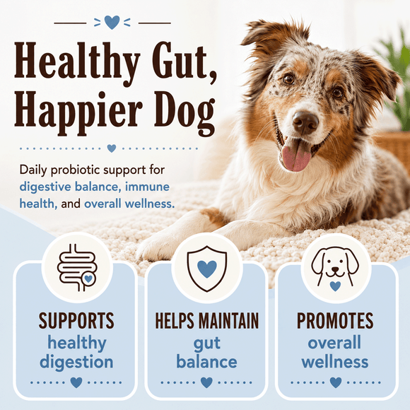 Natural Dog Company Gut Health & Digestion Dog Probiotics (45 Soft Chews) - Probiotic Supplement 7