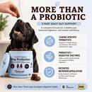 Natural Dog Company Gut Health & Digestion Dog Probiotics (45 Soft Chews) - Probiotic Supplement 5