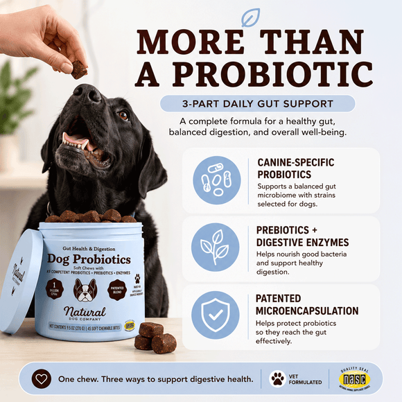 Natural Dog Company Gut Health & Digestion Dog Probiotics (45 Soft Chews) - Probiotic Supplement 5