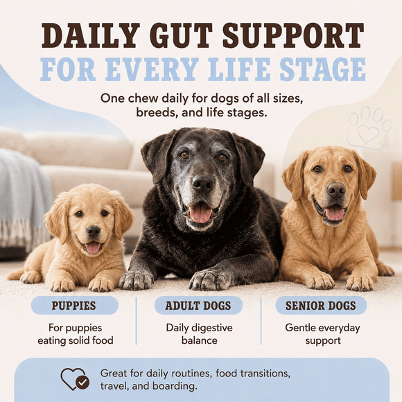 Natural Dog Company Gut Health & Digestion Dog Probiotics (45 Soft Chews) - Probiotic Supplement 9