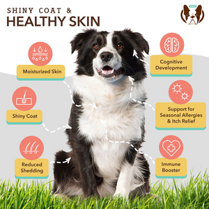 Natural Dog Company High Omega-3 Skin & Coat Oil (16 oz) - Dog Skin & Coat Supplements 2