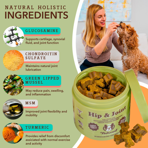Natural Dog Company Hip & Joint Soft Chews for Dogs (90 Chews) - Dog Joint & Hip Supplements 2