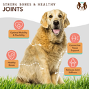 Natural Dog Company Hip & Joint Soft Chews for Dogs (90 Chews) - Dog Joint & Hip Supplements 4