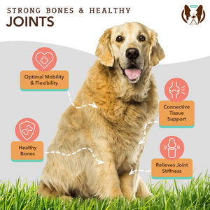 Natural Dog Company Hip & Joint Soft Chews for Dogs (90 Chews) - Dog Joint & Hip Supplements 2