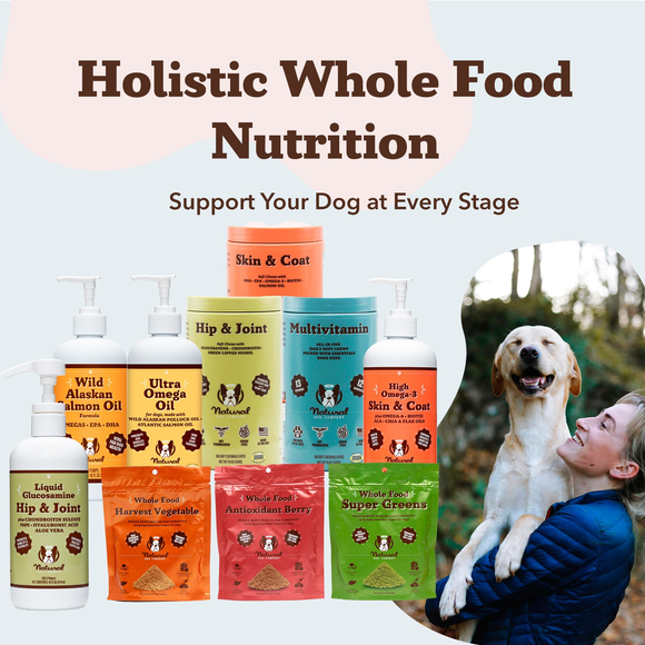 Natural Dog Company Liquid Glucosamine Hip & Joint Liquid Supplement (16 oz) - Dog Hip & Joint Supplements 8