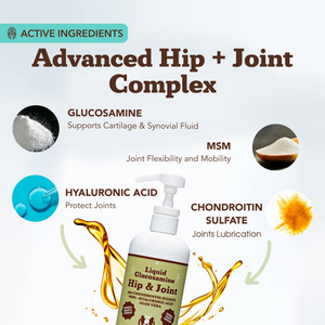 Natural Dog Company Liquid Glucosamine Hip & Joint Liquid Supplement (16 oz) - Dog Hip & Joint Supplements 2