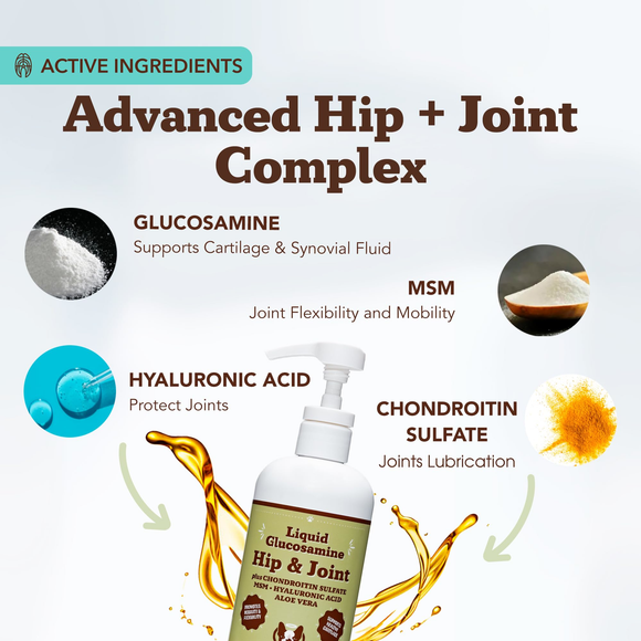 Natural Dog Company Liquid Glucosamine Hip & Joint Liquid Supplement (16 oz) - Dog Hip & Joint Supplements 2