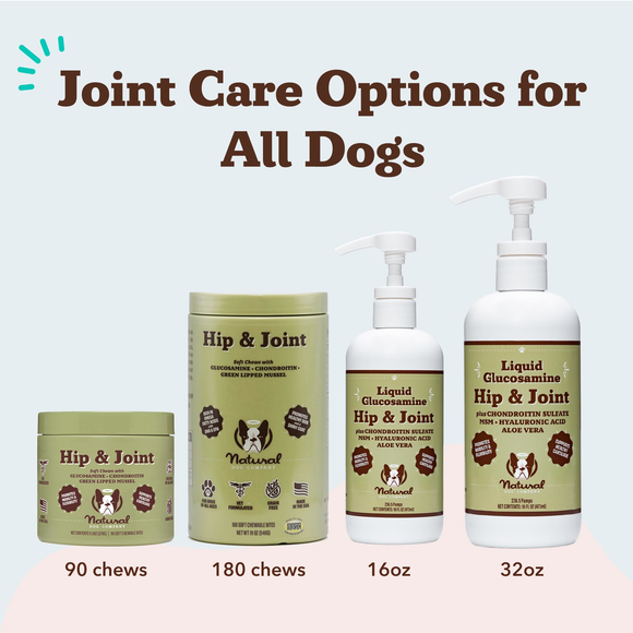 Natural Dog Company Liquid Glucosamine Hip & Joint Liquid Supplement (16 oz) - Dog Hip & Joint Supplements 9