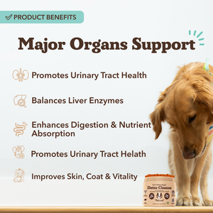 Natural Dog Company Liver & Kidney Detox Cleanse for Dogs (90 soft chews) - Dog Treats 2