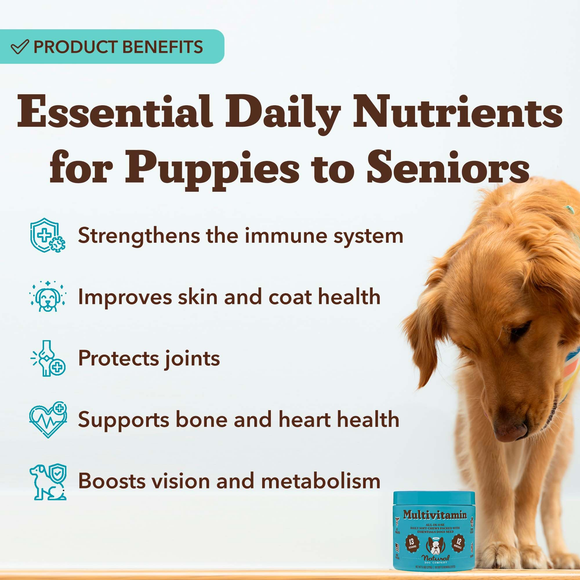 Natural Dog Company Multivitamin All-In-One Soft Chews for Dogs (90 Chews) - Dog Multi-Vitamins 2