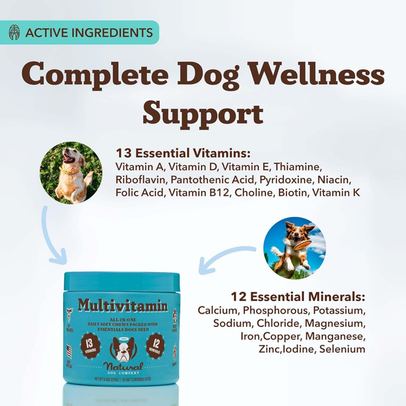 Natural Dog Company Multivitamin All-In-One Soft Chews for Dogs (90 Chews) - Dog Multi-Vitamins 3