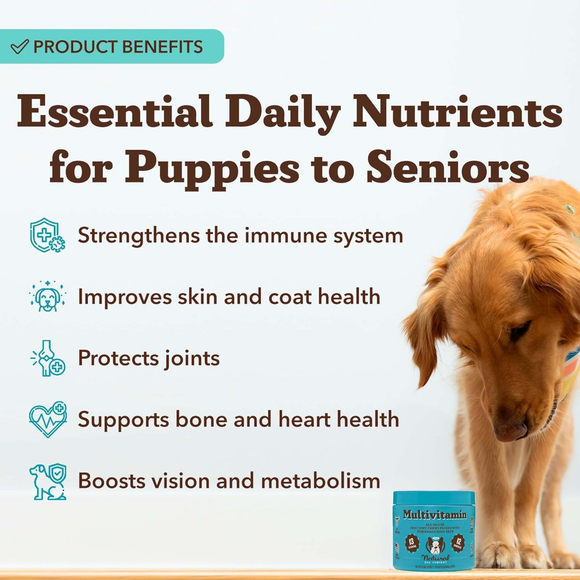Natural Dog Company Multivitamin All-In-One Soft Chews for Dogs (90 Chews) - Dog Multi-Vitamins 8