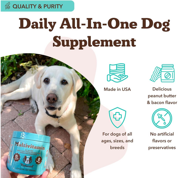 Natural Dog Company Multivitamin All-In-One Soft Chews for Dogs (90 Chews) - Dog Multi-Vitamins 4
