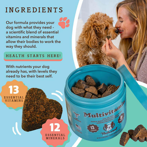 Natural Dog Company Multivitamin All-In-One Soft Chews for Dogs (90 Chews) - Dog Multi-Vitamins 3