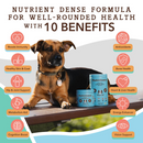 Natural Dog Company Multivitamin All-In-One Soft Chews for Dogs (90 Chews) - Dog Multi-Vitamins 2