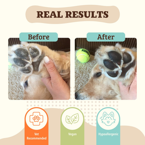 Natural Dog Company Paw Soother Stick (2 oz) - Lotions & Moisturizers 2