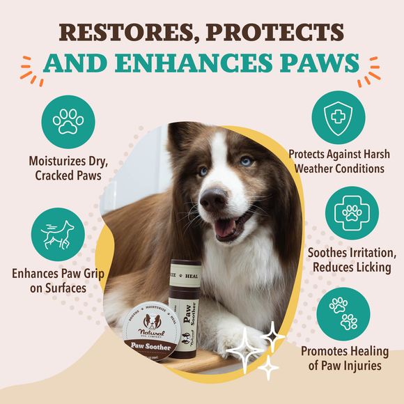 Natural Dog Company Paw Soother Stick (2 oz) - Lotions & Moisturizers 4