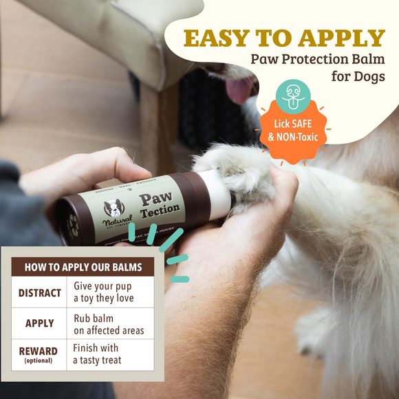 Natural Dog Company Paw-Tection Stick (2 oz) - Dog Grooming 4