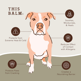 Natural Dog Company Paw-Tection Stick (2 oz) - Dog Grooming 2