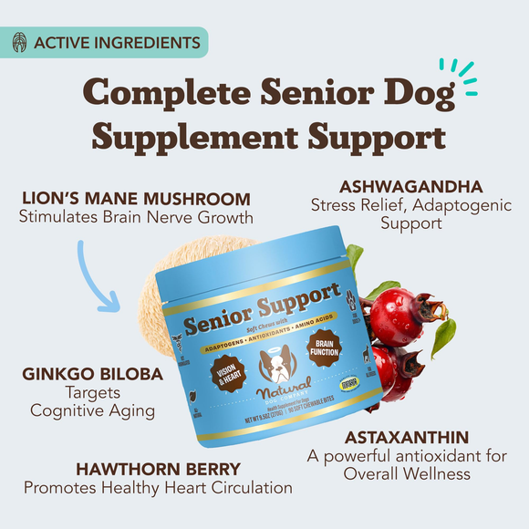 Natural Dog Company Senior Support with Adaptogens Antioxidant & Amino Acids (90 soft chews) - Dog Supplements &