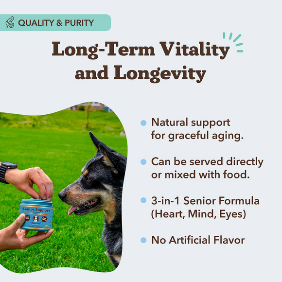 Natural Dog Company Senior Support with Adaptogens Antioxidant & Amino Acids (90 soft chews) - Dog Supplements &