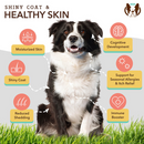 Natural Dog Company Skin & Coat Soft Chews (90 Soft Chews) - Dog Skin & Coat Supplements 2