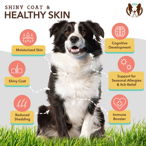 Natural Dog Company Skin & Coat Soft Chews (90 Soft Chews) - Dog Skin & Coat Supplements 2