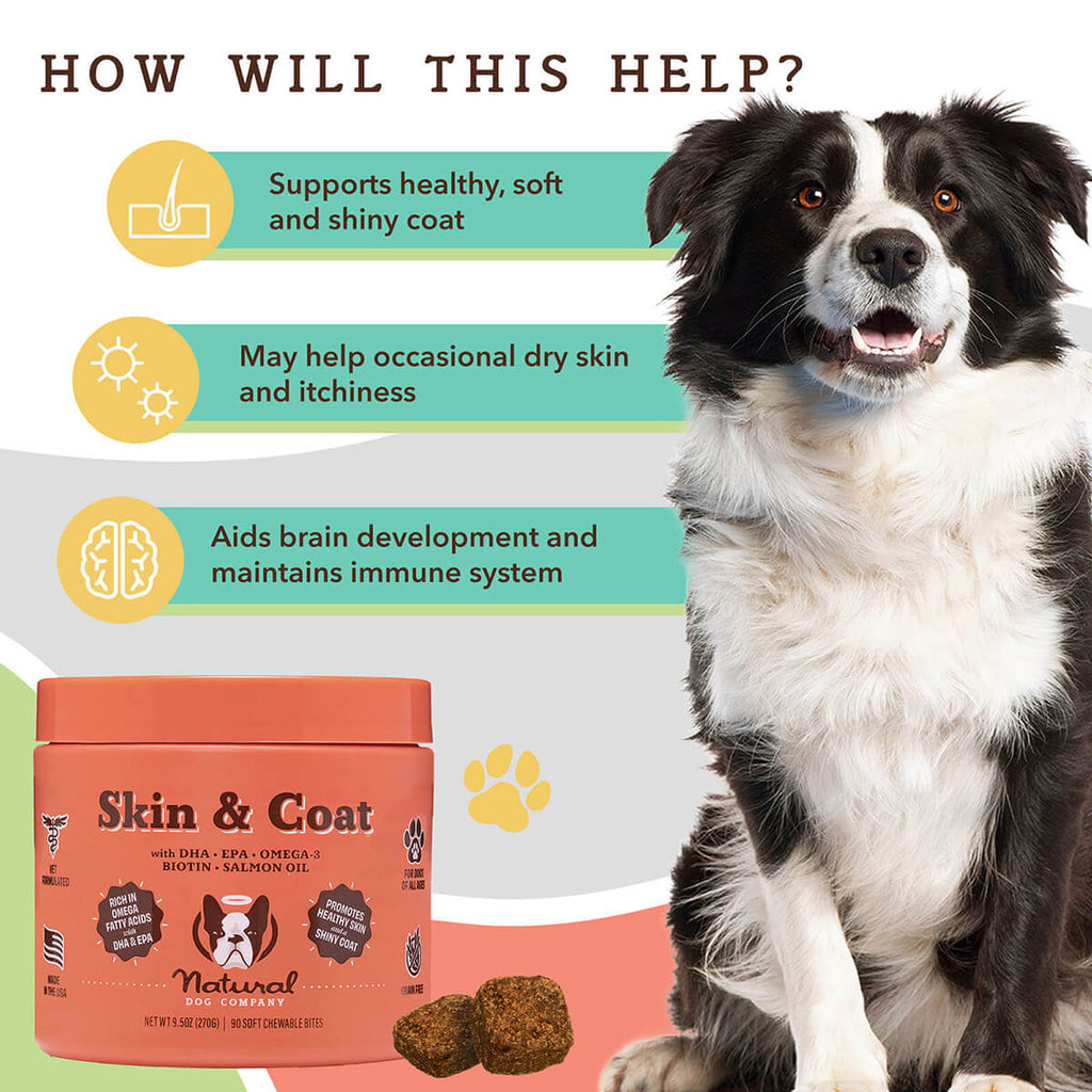 Natural Dog Company Skin & Coat Support Chews for Dogs