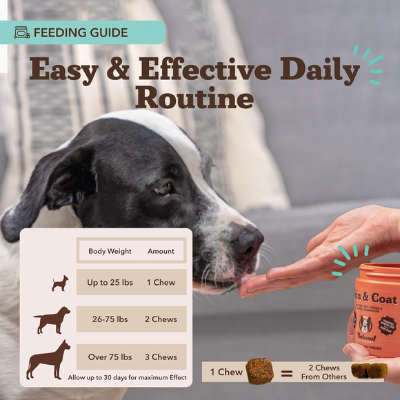 Natural Dog Company Skin & Coat Soft Chews (90 Soft Chews) - Dog Skin & Coat Supplements 5