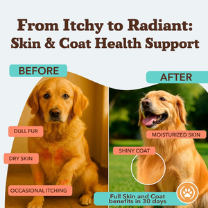 Natural Dog Company Skin & Coat Soft Chews (90 Soft Chews) - Dog Skin & Coat Supplements 2
