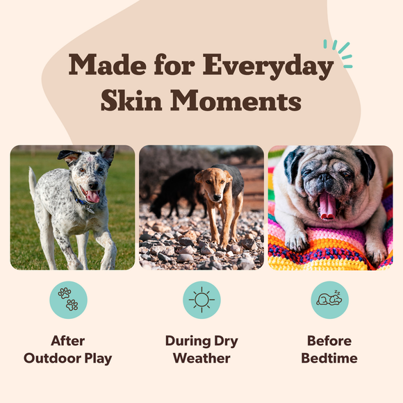 Natural Dog Company Skin Soother Stick (2 oz) - Dog Grooming 11