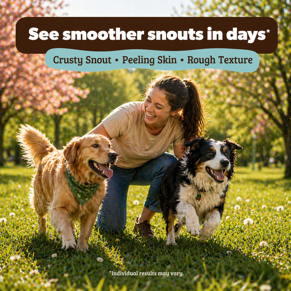Natural Dog Company Snout Soother Stick (2 oz) - Dog Supplies 9