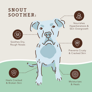 Natural Dog Company Snout Soother Stick (2 oz) - Dog Supplies 2