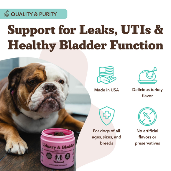 Natural Dog Company Urinary & Bladder Support for Dogs (90 soft chews) - Dog Treats 7