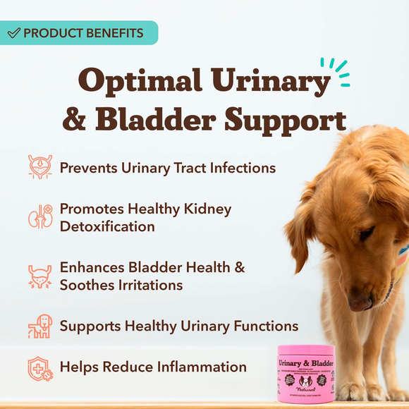 Natural Dog Company Urinary & Bladder Support for Dogs (90 soft chews) - Dog Treats 2
