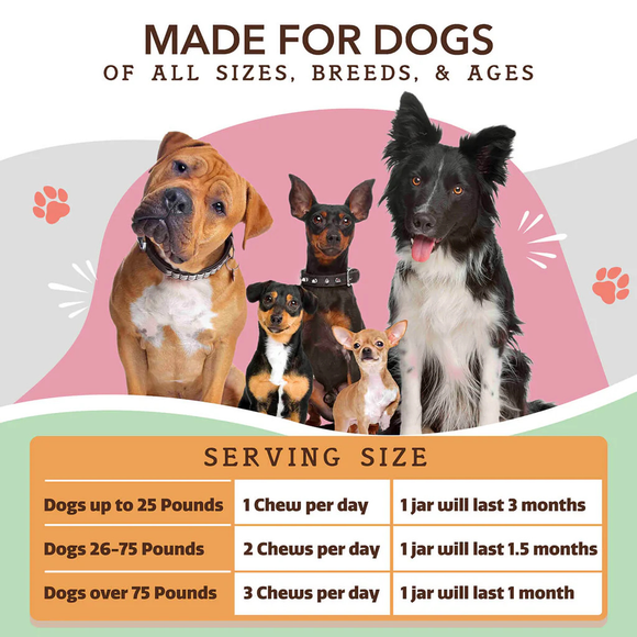Natural Dog Company Urinary & Bladder Support for Dogs (90 soft chews) - Dog Treats 7