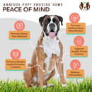 Natural Dog Company Urinary & Bladder Support for Dogs (90 soft chews) - Dog Treats 2