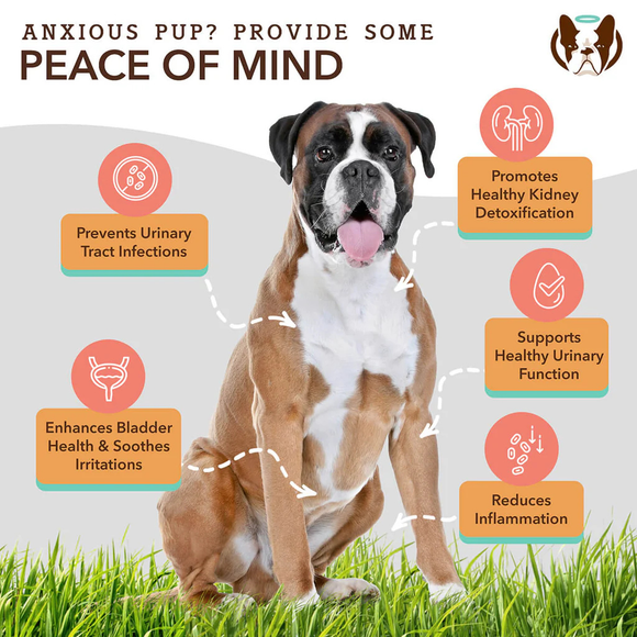 Natural Dog Company Urinary & Bladder Support for Dogs (90 soft chews) - Dog Treats 2